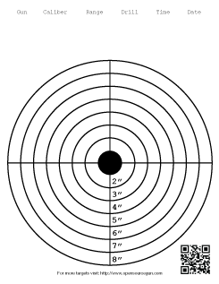 This is the bullzeye with 8 rings target